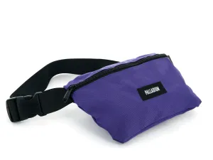 BG067-500 | PALLADIUM FANNY PACK | PURPLE