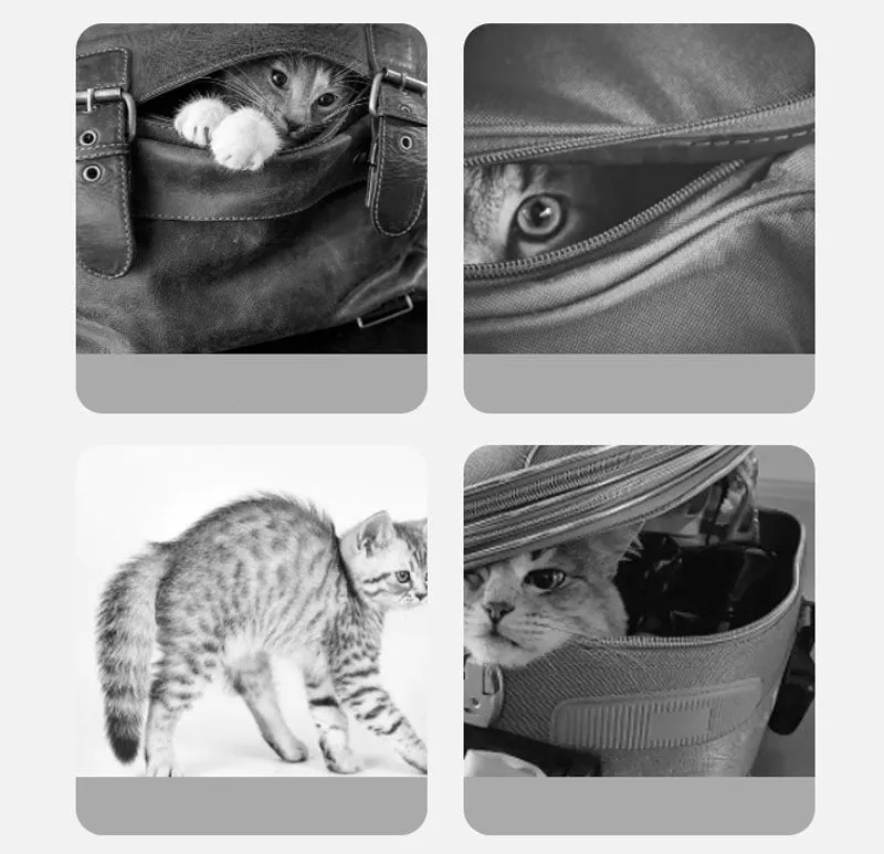 Cute canvas cat bag crossbody portable cat bag small dog can reveal shoulder bag