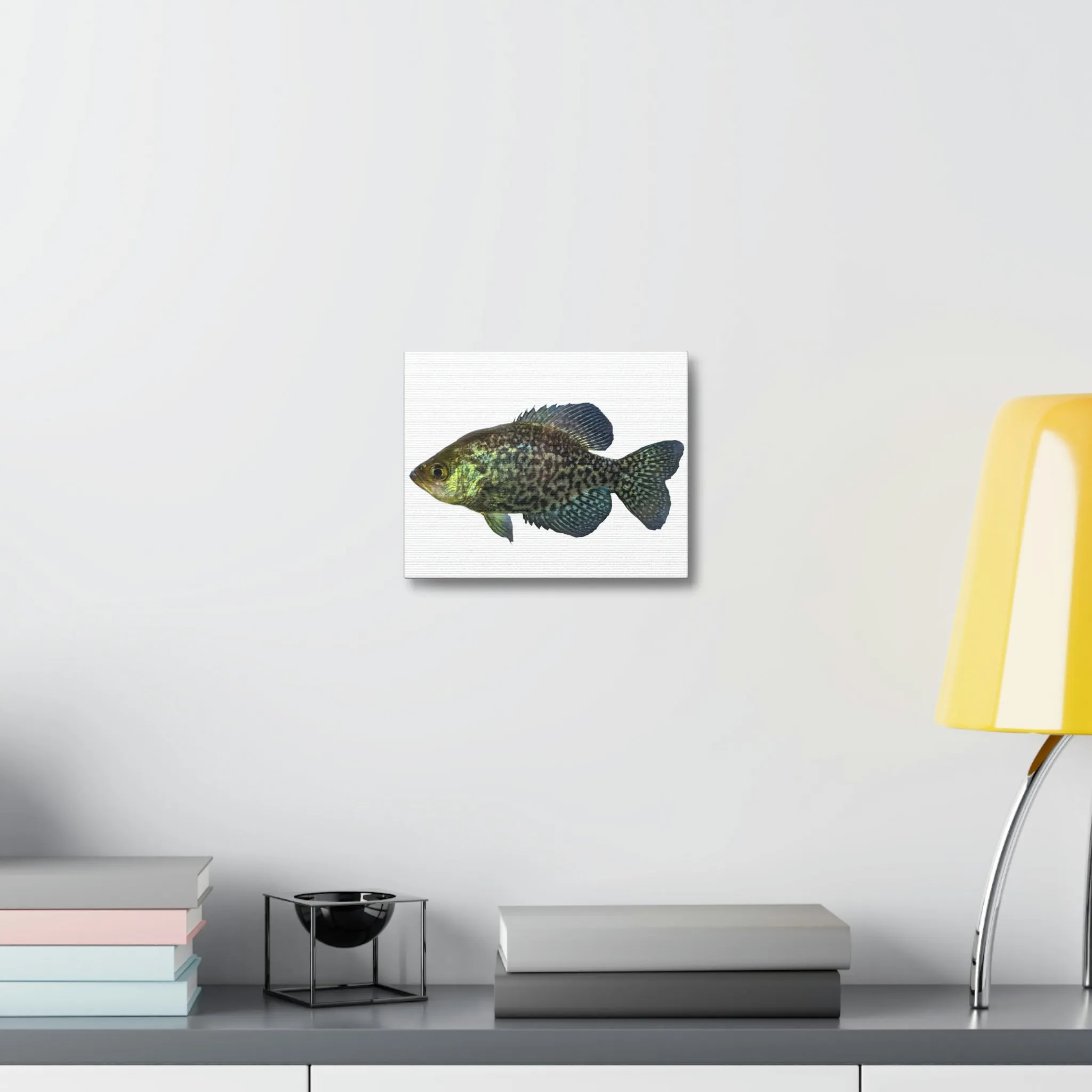 Golden Fish Stretched Canvas