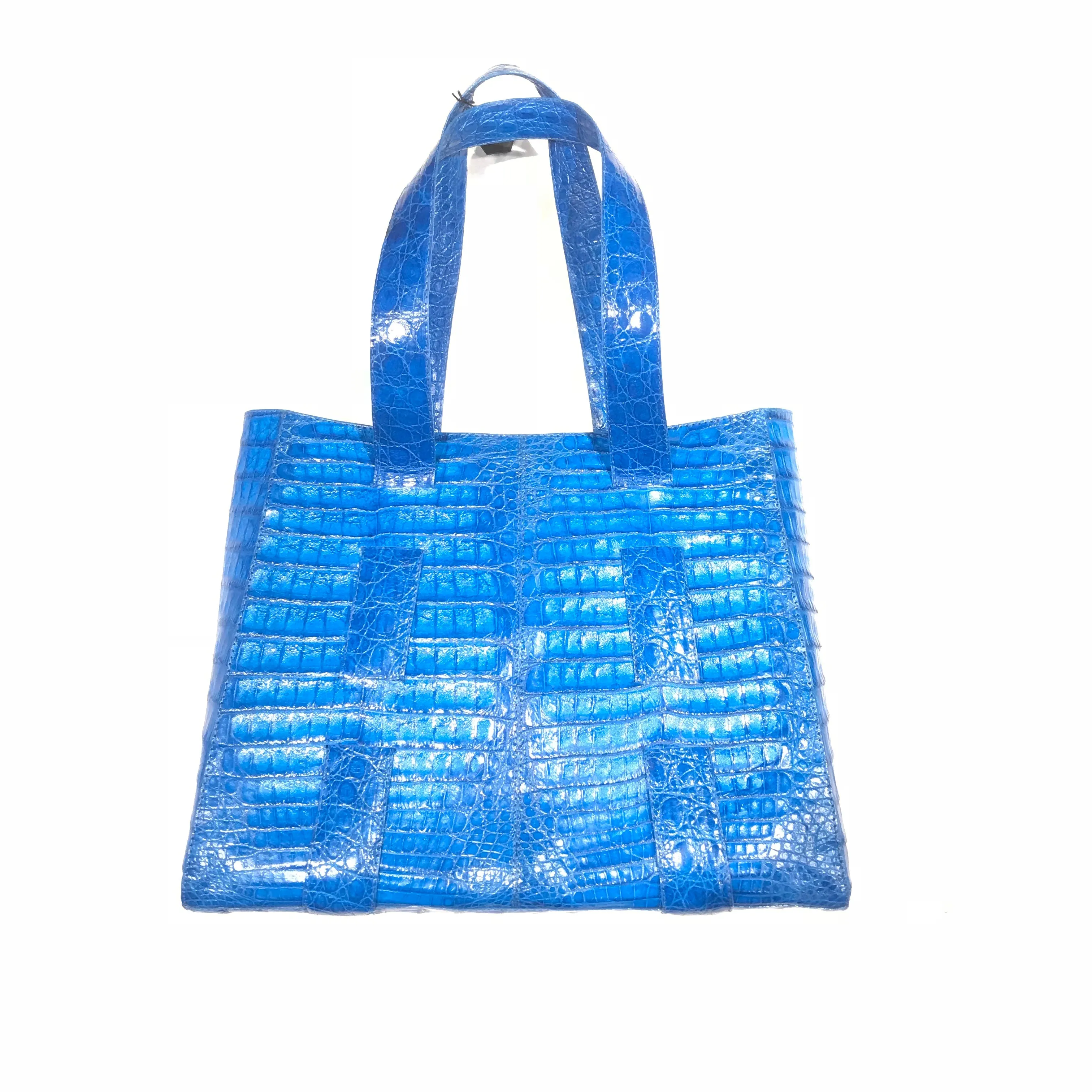 Kashani Baby Blue All Over Alligator Purse Handbag