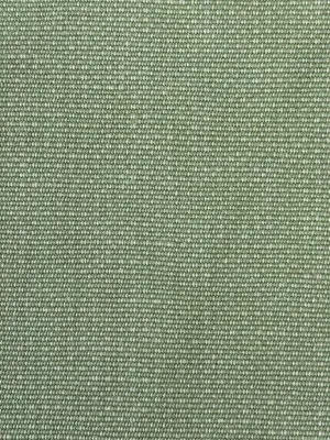 Patagonia Willow Upholstery Fabric