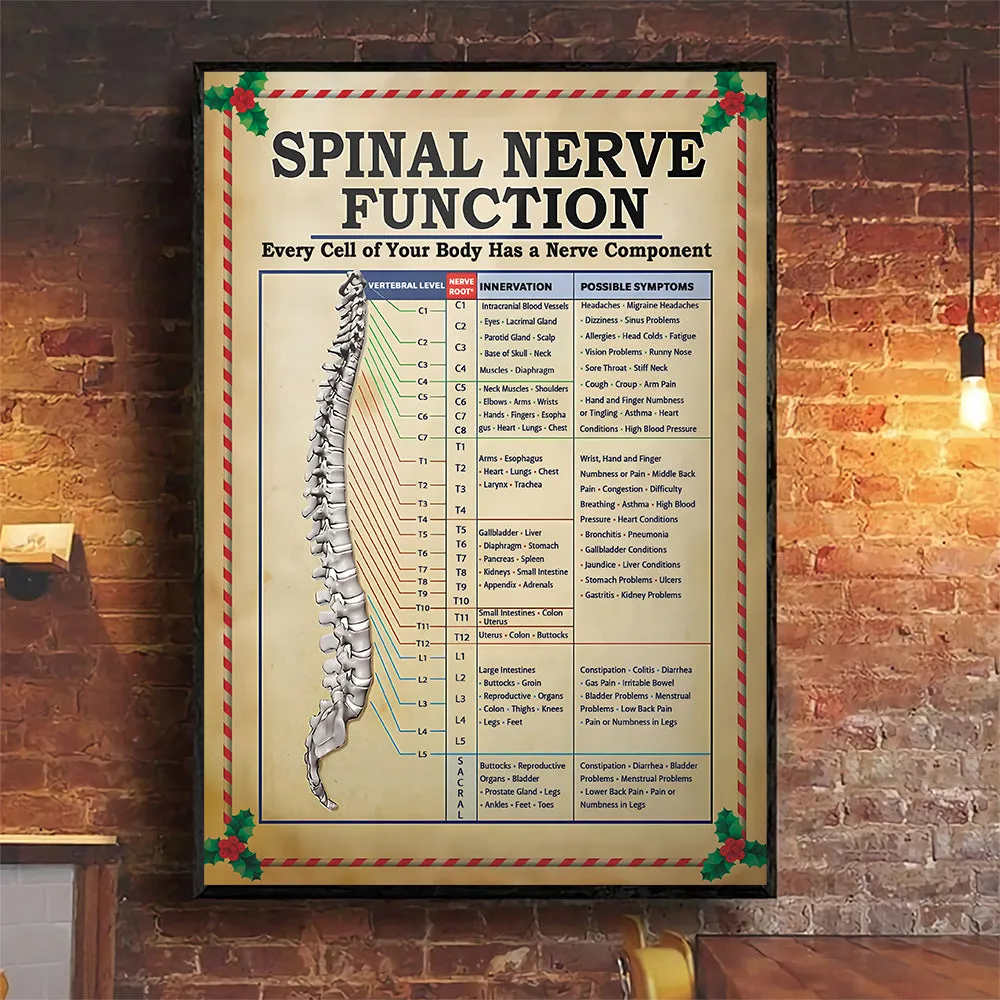 Teesdily | Spinal Nerve Function Poster, Chiropractic Spine Canvas Wall Art, Chiropractor Home Decor Christmas Gift, Xmas Gift