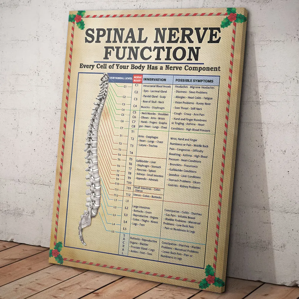 Teesdily | Spinal Nerve Function Poster, Chiropractic Spine Canvas Wall Art, Chiropractor Home Decor Christmas Gift, Xmas Gift