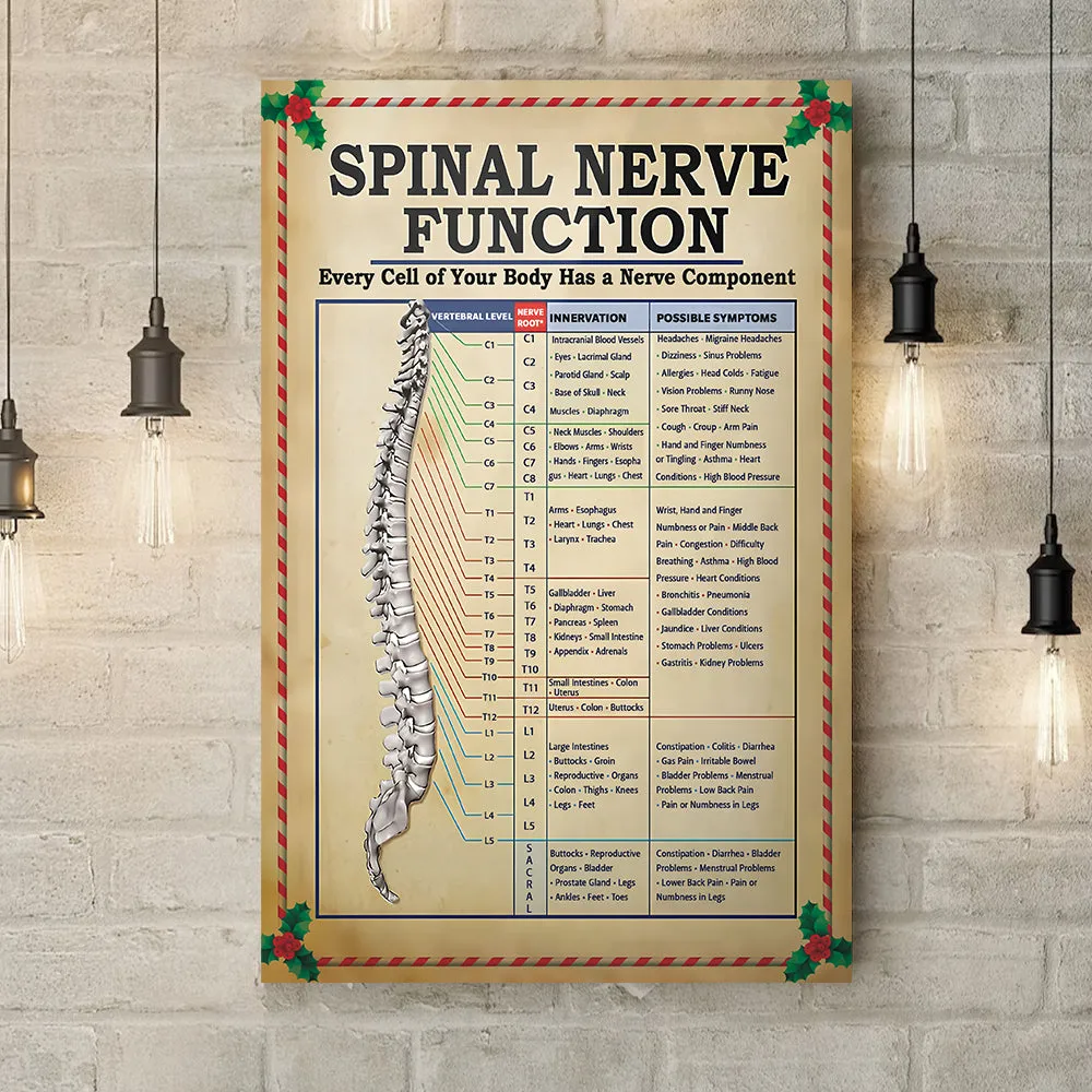 Teesdily | Spinal Nerve Function Poster, Chiropractic Spine Canvas Wall Art, Chiropractor Home Decor Christmas Gift, Xmas Gift