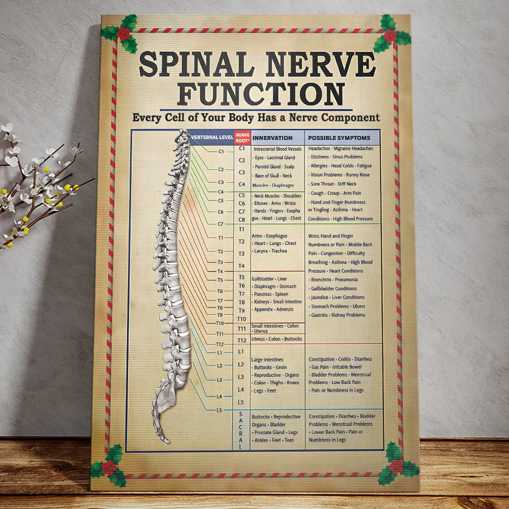 Teesdily | Spinal Nerve Function Poster, Chiropractic Spine Canvas Wall Art, Chiropractor Home Decor Christmas Gift, Xmas Gift