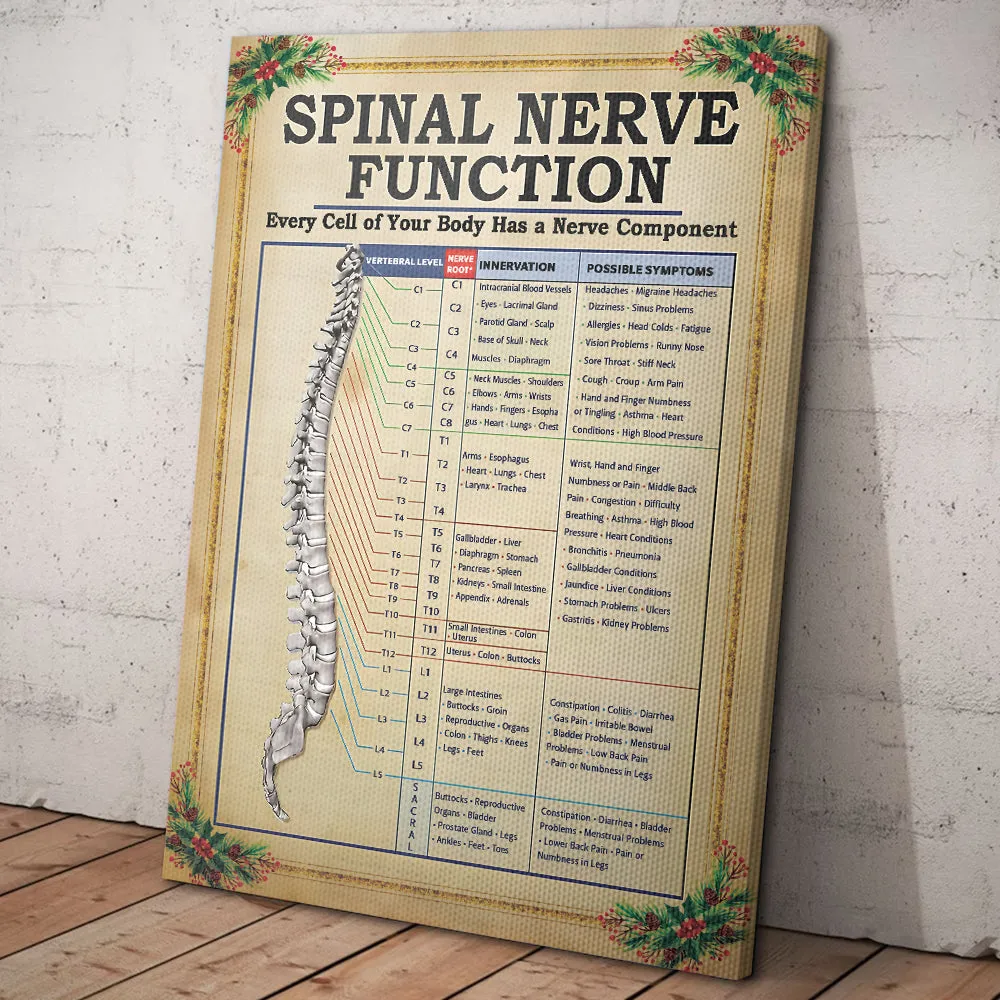 Teesdily | Spinal Nerve Function Poster, Chiropractic Spine Canvas Wall Art, Chiropractor Home Decor Christmas Gift, Xmas Gift