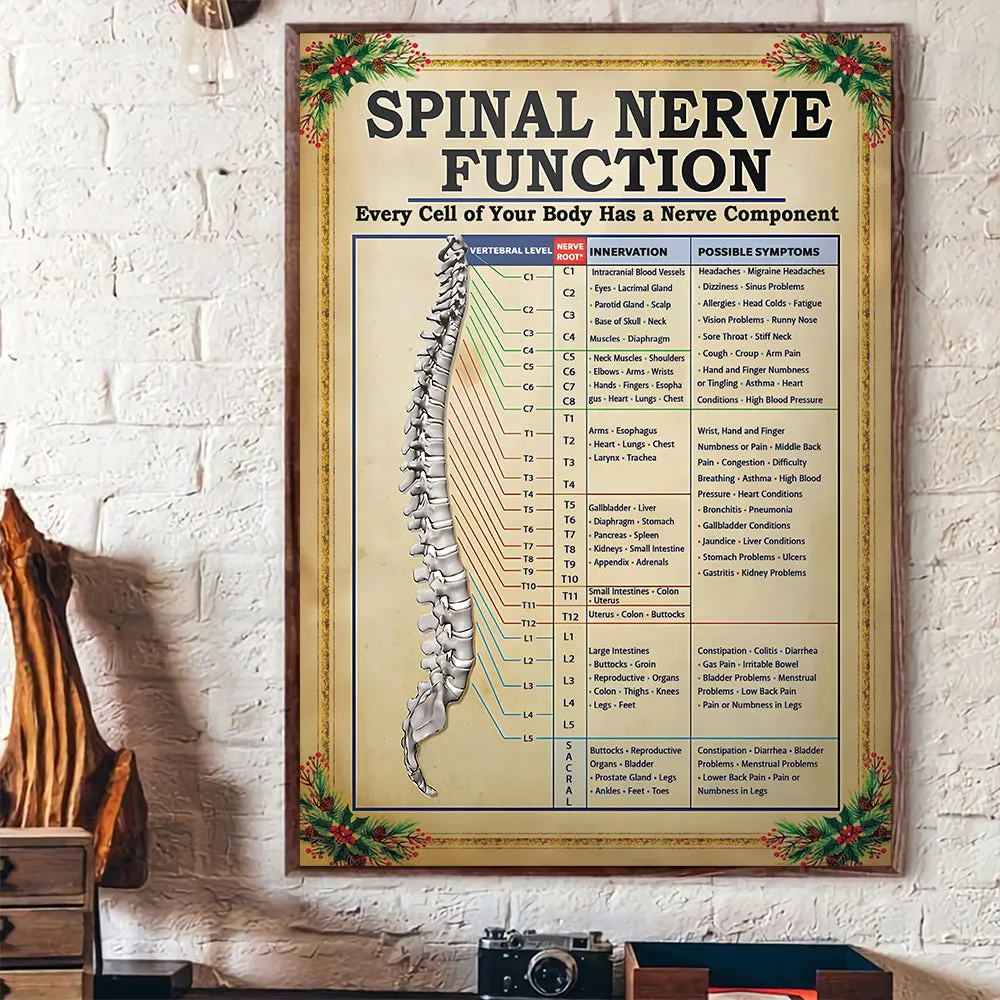 Teesdily | Spinal Nerve Function Poster, Chiropractic Spine Canvas Wall Art, Chiropractor Home Decor Christmas Gift, Xmas Gift