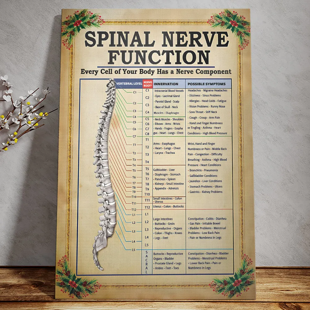 Teesdily | Spinal Nerve Function Poster, Chiropractic Spine Canvas Wall Art, Chiropractor Home Decor Christmas Gift, Xmas Gift