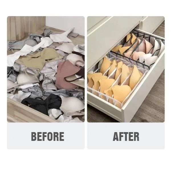 Underwear Storage Box Compartment